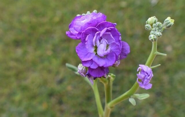 Qu&rsquo;est-ce qui rentre dans un 6m3 ?